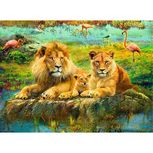 familia de leones