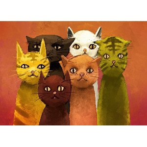 Grupo de gatos