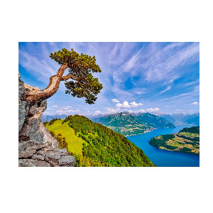 Vistas al lago Uri Suiza