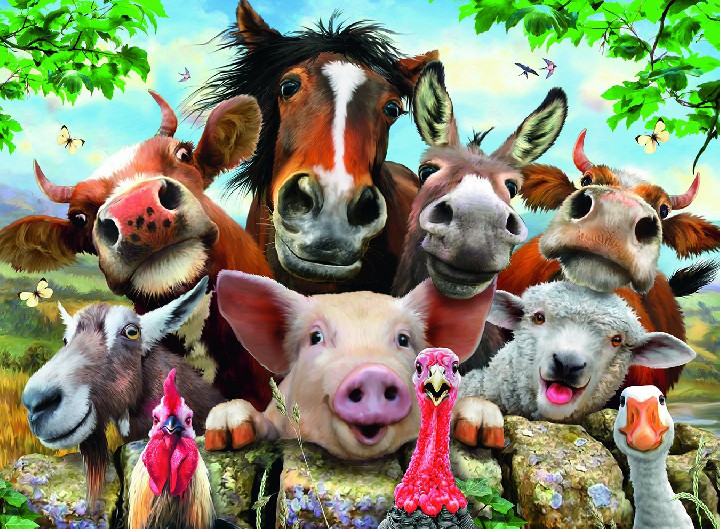 selfie animales ( Ref:  0000013207 )