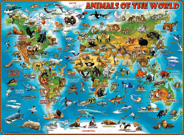 ANIMALES DEL MUNDO ( Ref:  0000013257 )