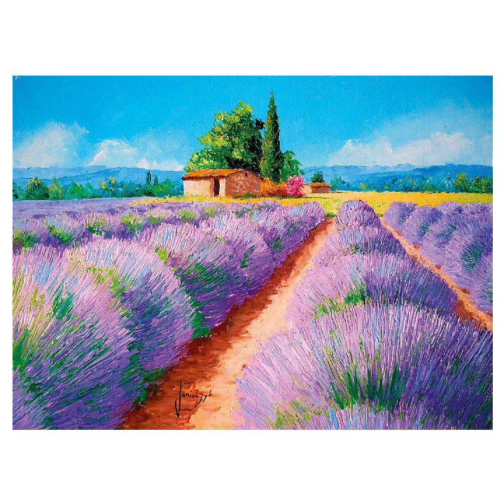 Campo de Lavanda ( Ref:  0000035073 )