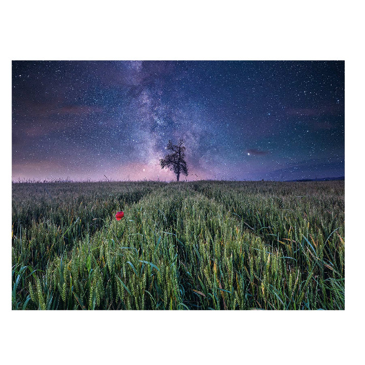 Campo y estrellas