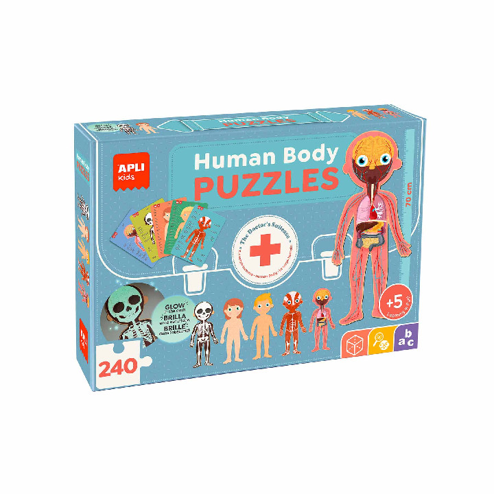 Cuerpo humano ( Ref:  19438 )