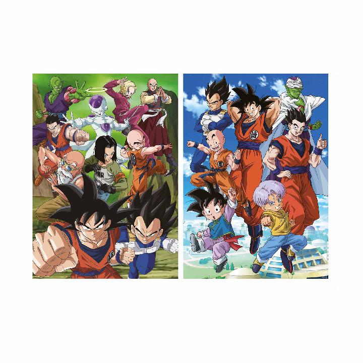 Dragon Ball 2x500